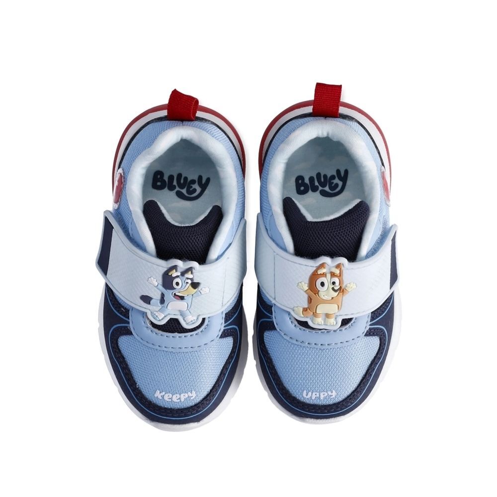 Bluey Toddler Boys' Light Up Slip On Sneakers Size 7